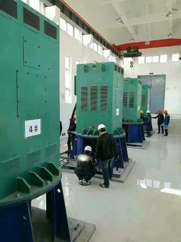 班玛某污水处理厂使用我厂的立式高压电机安装现场
